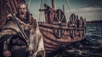 Chronologie Viking