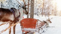 Laponie Le Pays Du Pere Noel